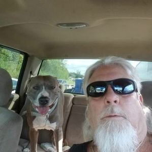 Meet your Posher, Wade